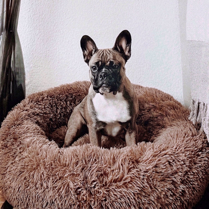 Fluffy Plus – Orthopädisches Hundebett für ultimativen Komfort und Sicherheit 6