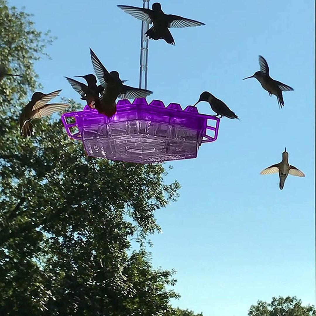 Ant Proof Kolibri Futterspender mit 30 Futteröffnungen & Ant-Moat, 12 Unzen 0