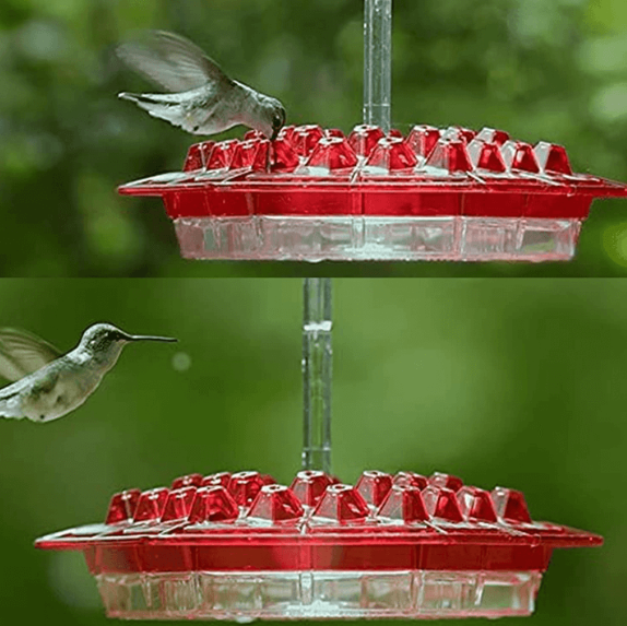 Ant Proof Kolibri Futterspender mit 30 Futteröffnungen & Ant-Moat, 12 Unzen 5