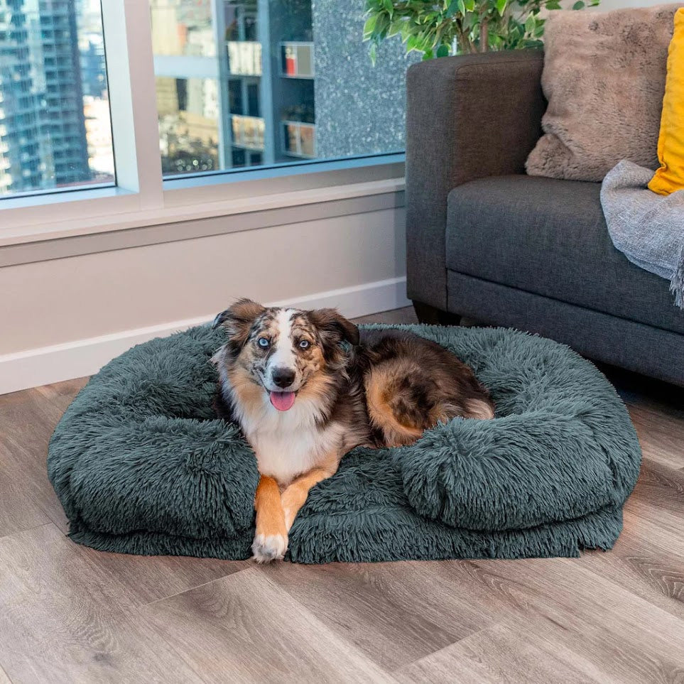 Charlie – Orthopädisches Hundebett Mit Memory Foam, Wasserfest & Rutschfest 0