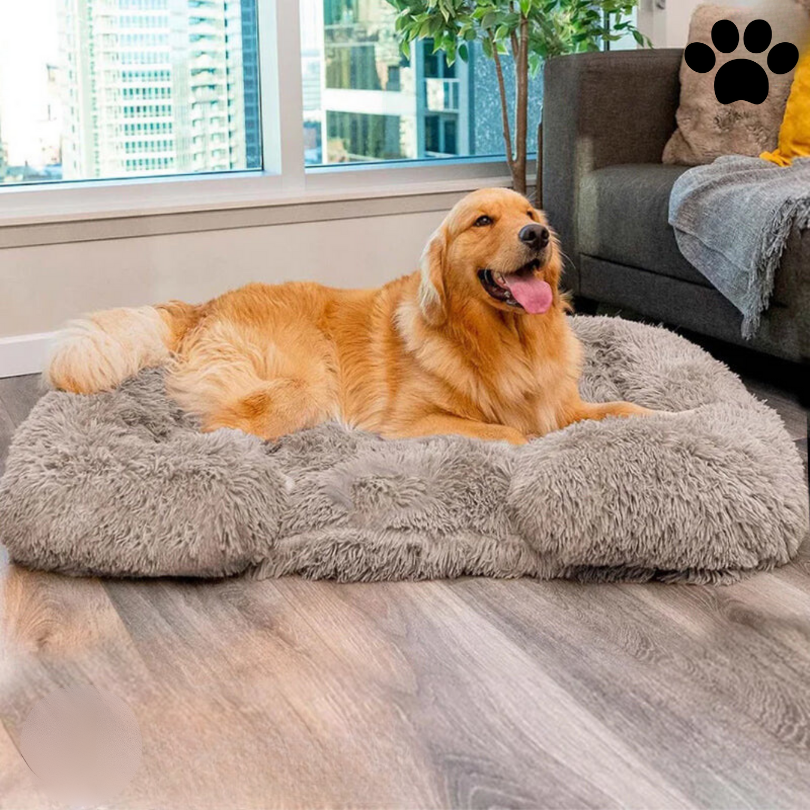 Charlie – Orthopädisches Hundebett Mit Memory Foam, Wasserfest & Rutschfest 1