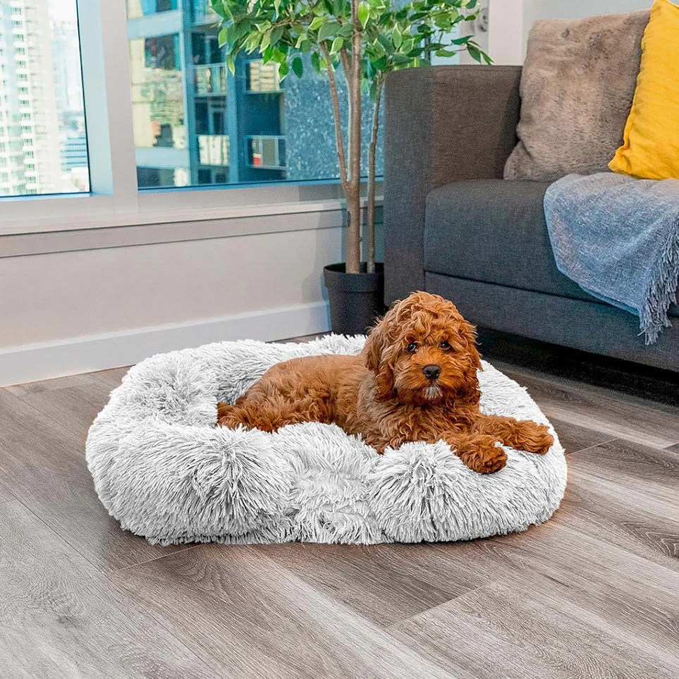 Charlie – Orthopädisches Hundebett Mit Memory Foam, Wasserfest & Rutschfest 2