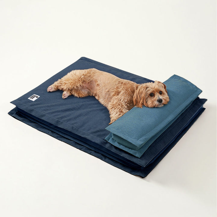 CozyCalm – Orthopädisches Hundebett Für Tiefen Schlaf & Gelenkunterstützung 10