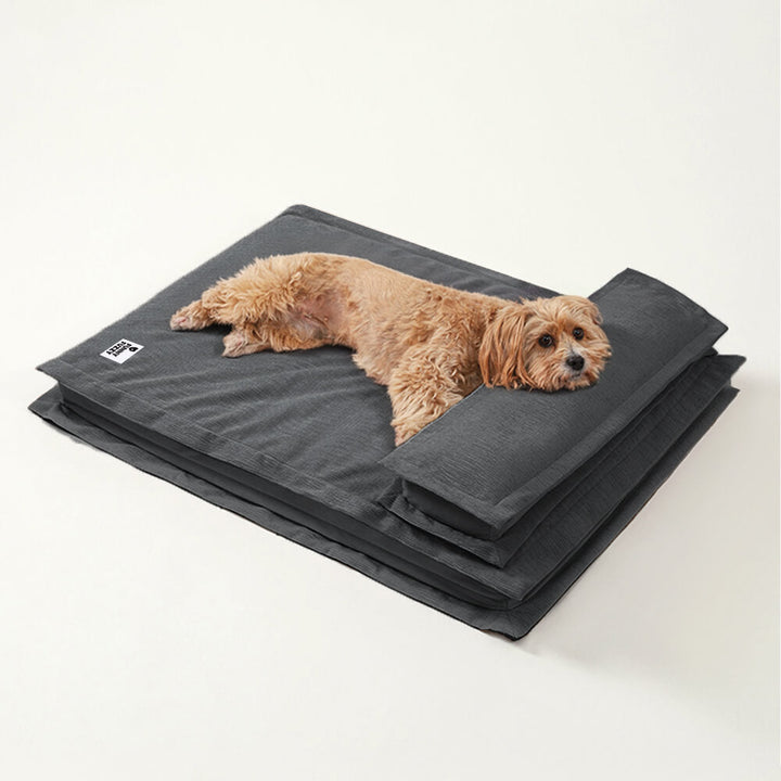 CozyCalm – Orthopädisches Hundebett Für Tiefen Schlaf & Gelenkunterstützung 11