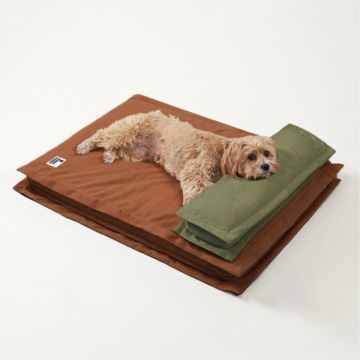 CozyCalm – Orthopädisches Hundebett Für Tiefen Schlaf & Gelenkunterstützung 12