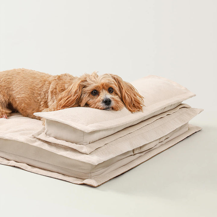 CozyCalm – Orthopädisches Hundebett Für Tiefen Schlaf & Gelenkunterstützung 2