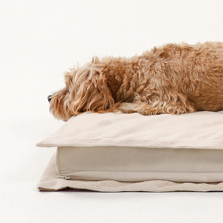 CozyCalm – Orthopädisches Hundebett Für Tiefen Schlaf & Gelenkunterstützung 5