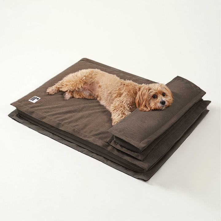 CozyCalm – Orthopädisches Hundebett Für Tiefen Schlaf & Gelenkunterstützung 9