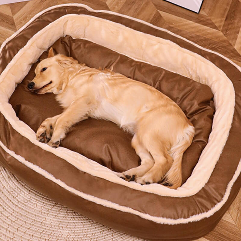 CozyPaw – Orthopädisches Hundebett Mit Abnehmbarem Bezug Für Ultimativen Komfort 2