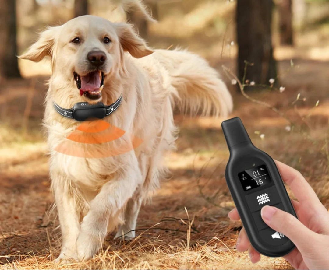 Elektrisches Hunde Trainingshalsband – Wasserdicht, 1000 m Reichweite, 16 Intensitätsstufen 2