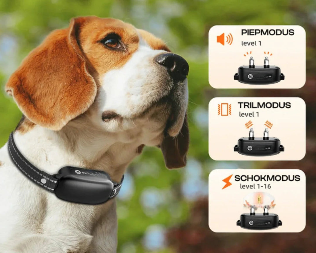 Elektrisches Hunde Trainingshalsband – Wasserdicht, 1000 m Reichweite, 16 Intensitätsstufen 3