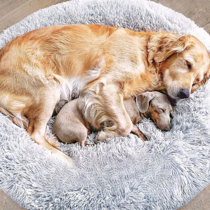Fluffy Plus – Orthopädisches Hundebett für ultimativen Komfort und Sicherheit 0