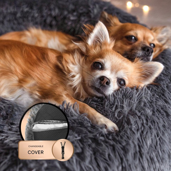 Fluffy Plus – Orthopädisches Hundebett für ultimativen Komfort und Sicherheit 3