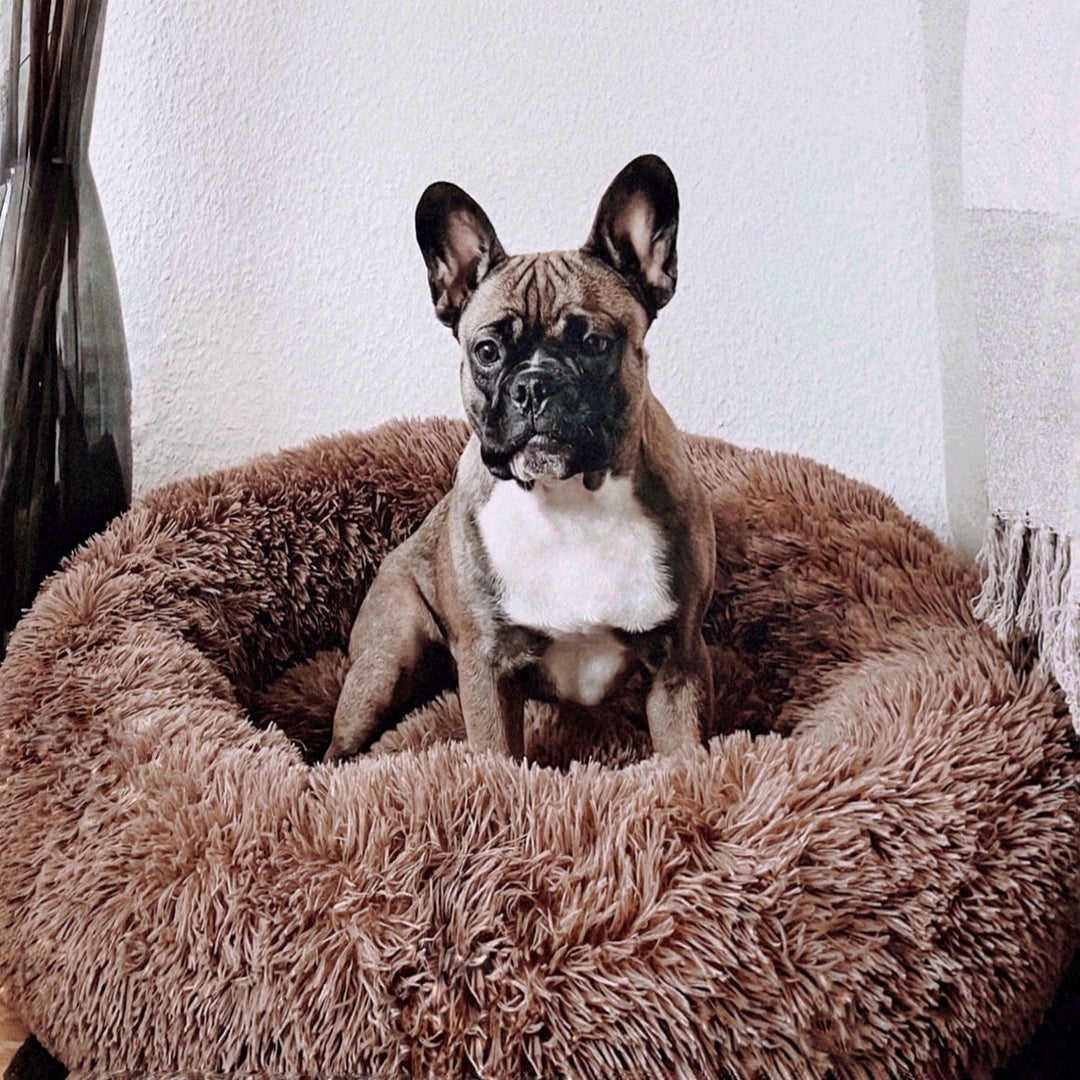 Fluffy Plus – Orthopädisches Hundebett für ultimativen Komfort und Sicherheit 6