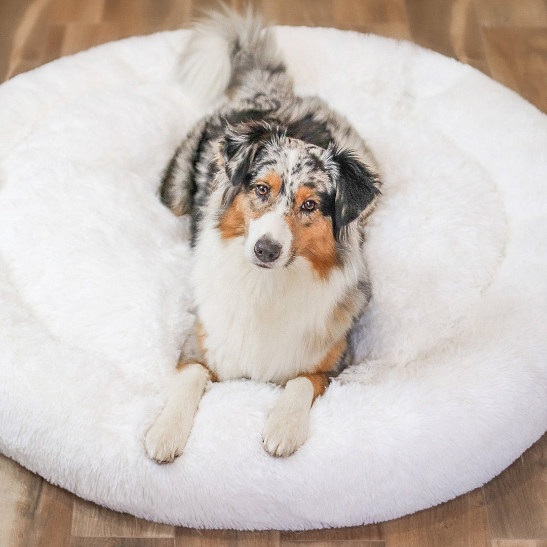 Fluffy Plus – Orthopädisches Hundebett für ultimativen Komfort und Sicherheit 7