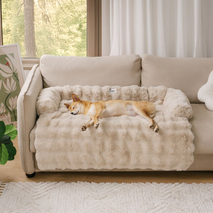 PlushNest – Weiches Hundebett aus Plüsch, Rutschfest, Maschinenwaschbar 2