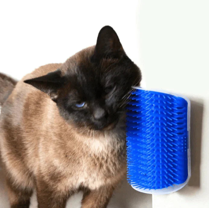 PurrGroom – Katzenbürste für Selbstpflege und Massage, Fängt Lose Haare Ein 0