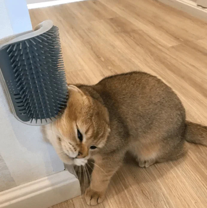 PurrGroom – Katzenbürste für Selbstpflege und Massage, Fängt Lose Haare Ein 1