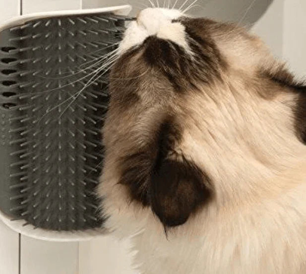 PurrGroom – Katzenbürste für Selbstpflege und Massage, Fängt Lose Haare Ein 4