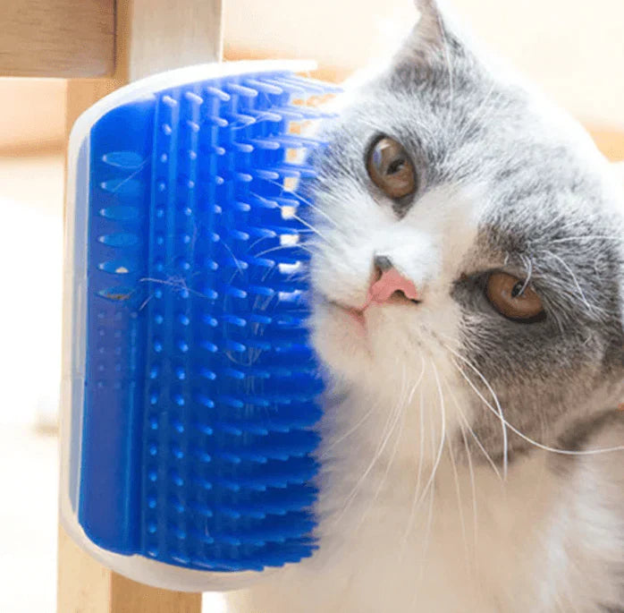 PurrGroom – Katzenbürste für Selbstpflege und Massage, Fängt Lose Haare Ein 6
