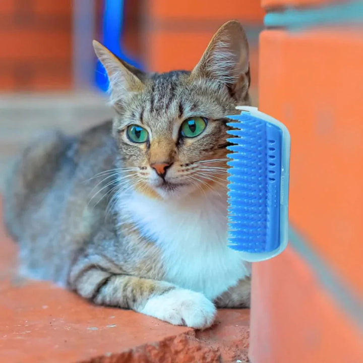 PurrGroom – Katzenbürste für Selbstpflege und Massage, Fängt Lose Haare Ein 7
