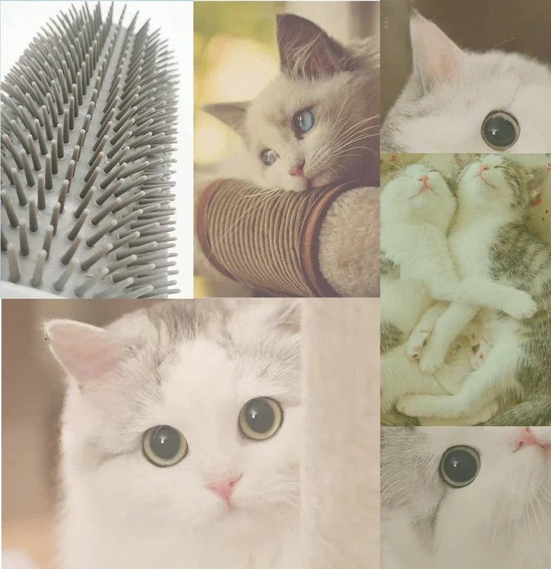 PurrGroom – Katzenbürste für Selbstpflege und Massage, Fängt Lose Haare Ein 8