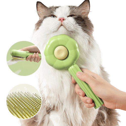 PurrfectBrush – Selbstreinigende Katzenbürste mit Massagefunktion für Unterfellpflege 1