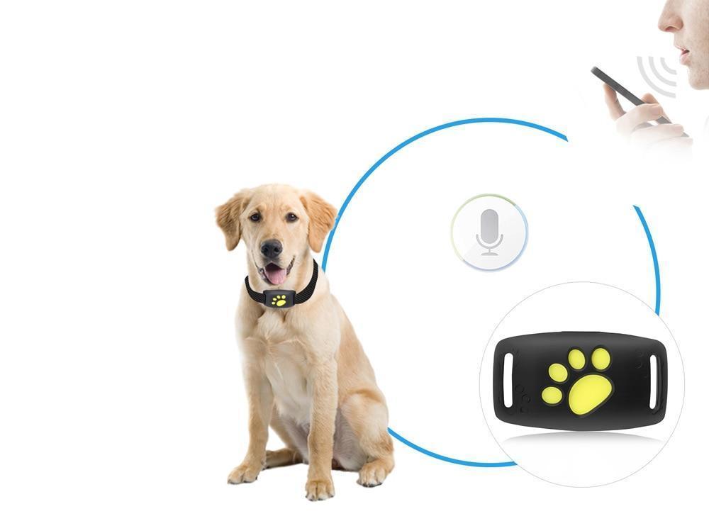 Trackcat – GPS Halsband Katze mit Echtzeit-Tracking und Satellitenverbindung 2