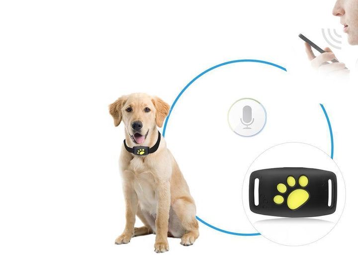 Trackcat – GPS Halsband Katze mit Echtzeit-Tracking und Satellitenverbindung 2